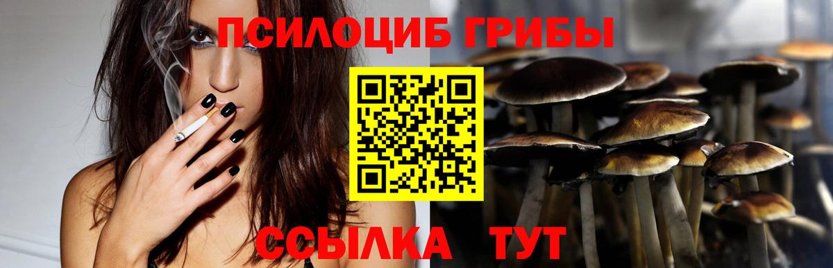Псилоцибиновые грибы Magic Shrooms  Вход с VPN  Екатеринбург 