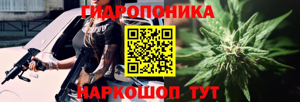 Шишки марихуана гибрид Екатеринбург
